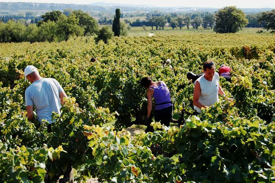 Domaine du Château de Montfaucon